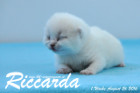Riccarda ist 1 Woche alt geworden ( 26.08.2016 )