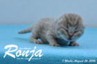 Ronja ist 1 Woche alt geworden ( 26.08.2016 )