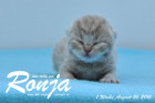 Ronja ist 1 Woche alt geworden ( 26.08.2016 )