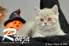 Ronja ist 10 Woche alt geworden ( 26.10.2016 )