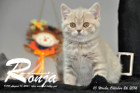 Ronja ist 10 Woche alt geworden ( 26.10.2016 )