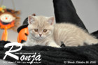 Ronja ist 10 Woche alt geworden ( 26.10.2016 )