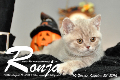 Ronja ist 10 Woche alt geworden ( 26.10.2016 )