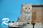 Ronja ist 12 Wochen alt geworden ( 11.11.2016 )