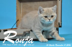 Ronja ist 12 Wochen alt geworden ( 11.11.2016 )