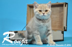 Ronja ist 12 Wochen alt geworden ( 11.11.2016 )