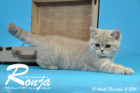 Ronja ist 12 Wochen alt geworden ( 11.11.2016 )