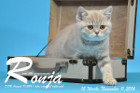 Ronja ist 12 Wochen alt geworden ( 11.11.2016 )