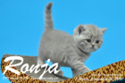 Ronja ist 5 Woche alt geworden ( 23.09.2016 )