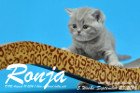 Ronja ist 5 Woche alt geworden ( 23.09.2016 )