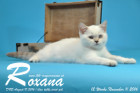 Roxana ist 12 Wochen alt geworden ( 11.11.2016 )