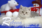 Rebecca ist 10 Wochen alt ( 14.01.2023 )