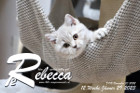 Rebecca ist 12 Wochen alt ( 29.01.2023 )