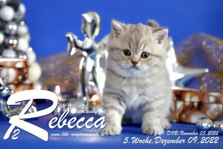 Rebecca ist 5 Wochen alt ( 09.12.2022 )
