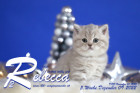 Rebecca ist 5 Wochen alt ( 09.12.2022 )