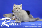 Rebecca ist 5 Wochen alt ( 09.12.2022 )