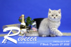 Rebecca ist 5 Wochen alt ( 09.12.2022 )
