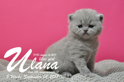 Ulana ist 3 Wochen alt ( 08.09.2017 )