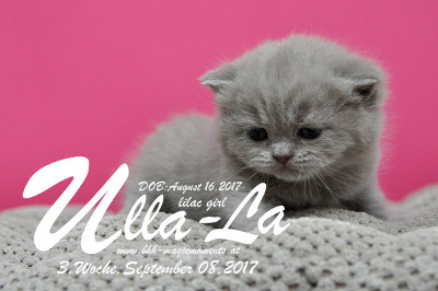 Ulla-La ist 3 Wochen alt ( 08.09.2017 )