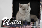 Unica ist 12 Wochen alt ( 11.11.2017)
