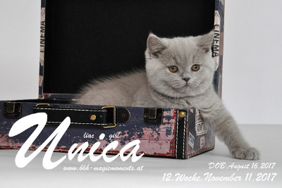 Unica ist 12 Wochen alt ( 11.11.2017)