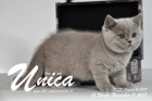 Unica ist 12 Wochen alt ( 11.11.2017)