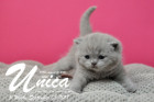 Unica ist 3 Wochen alt ( 08.09.2017)