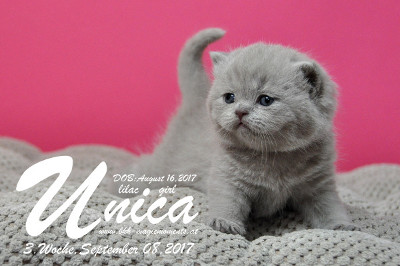 Unica ist 3 Wochen alt ( 08.09.2017)