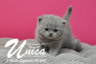 Unica ist 3 Wochen alt ( 08.09.2017)