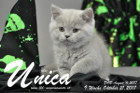 Unica ist 9 Wochen alt ( 21.10.2017)