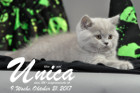 Unica ist 9 Wochen alt ( 21.10.2017)