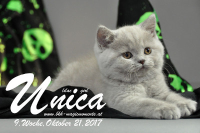 Unica ist 9 Wochen alt ( 21.10.2017)