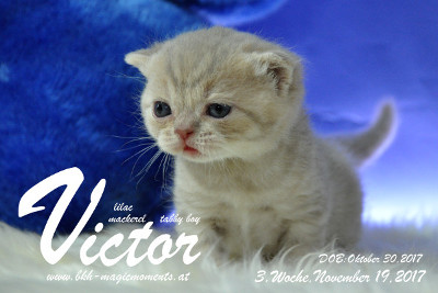 Victor ist 3 Wochen alt ( 19.11.2017 )