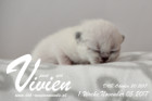Vivien ist 1 Woche alt ( 05.11.2017 )