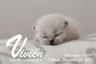 Vivien ist 1 Woche alt ( 05.11.2017 )