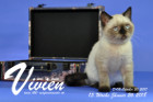 Vivien ist 13 Wochen alt ( 26.01.2018 )
