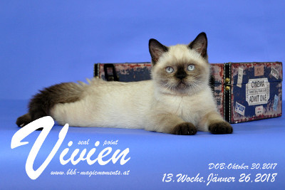 Vivien ist 13 Wochen alt ( 26.01.2018 )