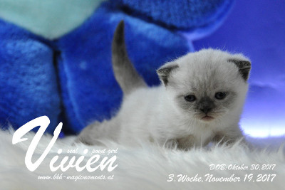 Vivien ist 3 Wochen alt ( 19.11.2017 )