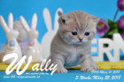 Wally ist 3 Wochen alt ( 25.03.2018 )