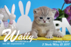 Wally ist 3 Wochen alt ( 25.03.2018 )