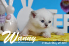 Wanny ist 3 Wochen alt ( 25.03.2018 )