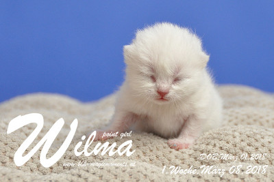 Wilma ist 1 Woche alt ( 08.03.2018 )