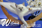 Wilma ist 10 Wochen alt ( 10.05.2018 )