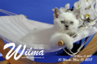 Wilma ist 10 Wochen alt ( 10.05.2018 )