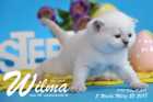 Wilma ist 3 Wochen alt ( 25.03.2018 )