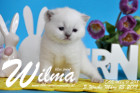 Wilma ist 3 Wochen alt ( 25.03.2018 )