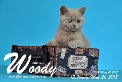 Woody ist 12 Wochen alt ( 26.05.2018 )