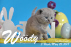Woody ist 3 Wochen alt ( 25.03.2018 )
