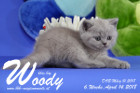 Woody ist 6 Wochen alt ( 14.04.2018 )
