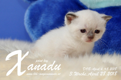 Xanadu ist 3 Wochen alt ( 28.04.2018 )